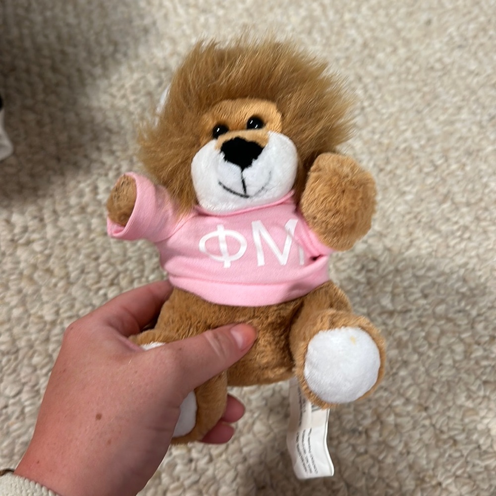 Phi mu stuffed lion